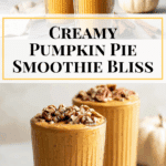 Pumpkin Pie Smoothie Recipe