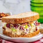 Turkey Salad with Cranberries and Pecans Recipe