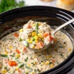 Slow Cooker Chicken Pot Pie Recipe