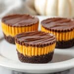 Peanut Butter Cheesecake Bites Recipe