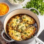 Cheesy Salsa Chicken Recipe