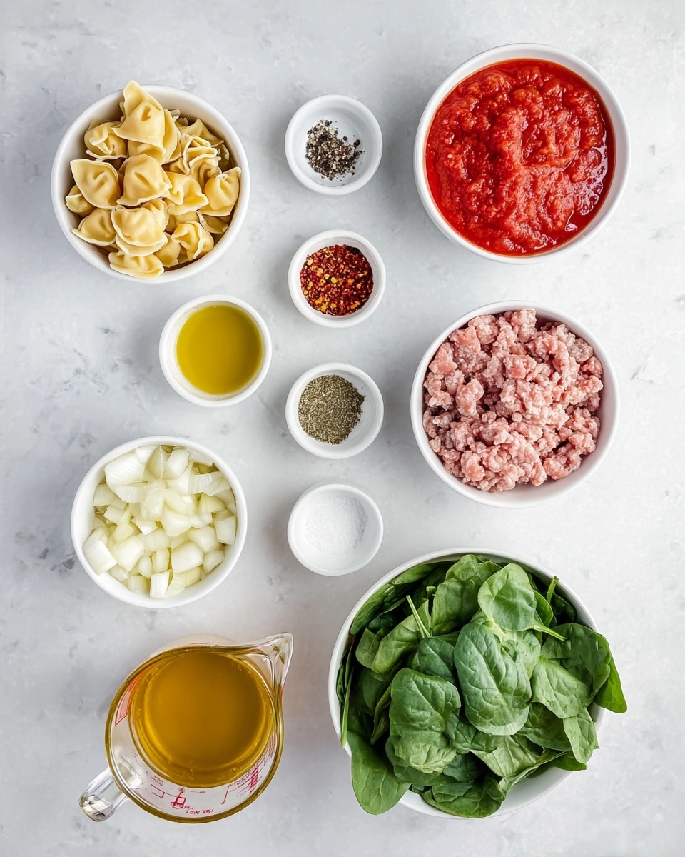 The image shows a top view of different ingredients arranged neatly on a white marbled surface. Starting from the top right, there is a white bowl filled with chunky red tomato sauce. Left to it are two small white bowls containing salt and black pepper, and below them, a tiny white bowl with red pepper flakes. Below the pepper flakes is a large white bowl filled with small folded pasta pieces, beside it is a white bowl with light pink raw ground meat. Near the meat are two small bowls with dried herbs, a small bowl with olive oil, and a small bowl with diced white onions. Below these ingredients is a large white bowl filled with fresh green spinach leaves, and next to it, a clear glass measuring cup filled with golden broth. At the bottom left, a tiny white bowl contains minced garlic. All the items are spread evenly and the light in the image is bright and natural, photo taken with an iphone --ar 4:5 --v 7