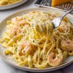 Shrimp Alfredo Recipe