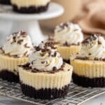 Mini Baileys Cheesecakes Recipe