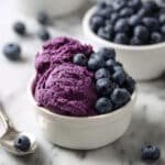 3 Ingredient Blueberry Frozen Yogurt Recipe