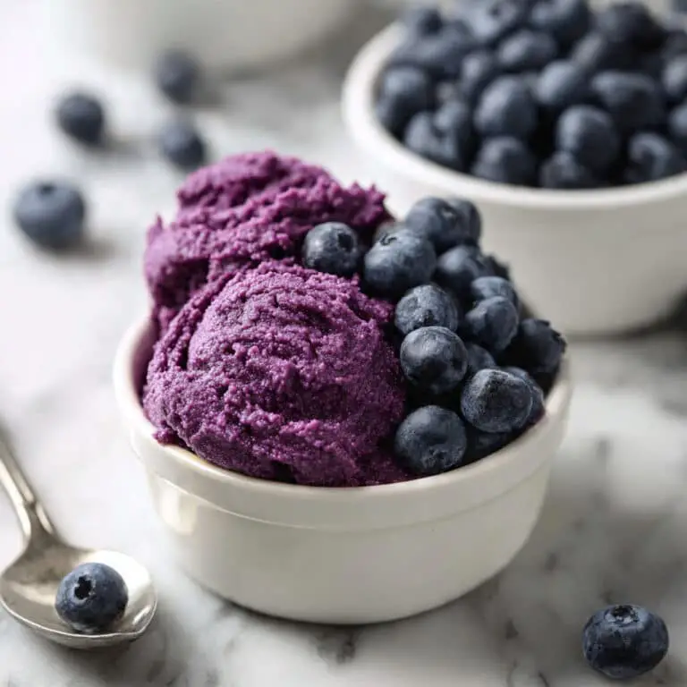 3 Ingredient Blueberry Frozen Yogurt Recipe