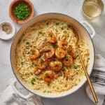 Creamy Shrimp Alfredo Pasta Recipe