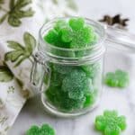 Shamrock Homemade Gummies with Jello Recipe