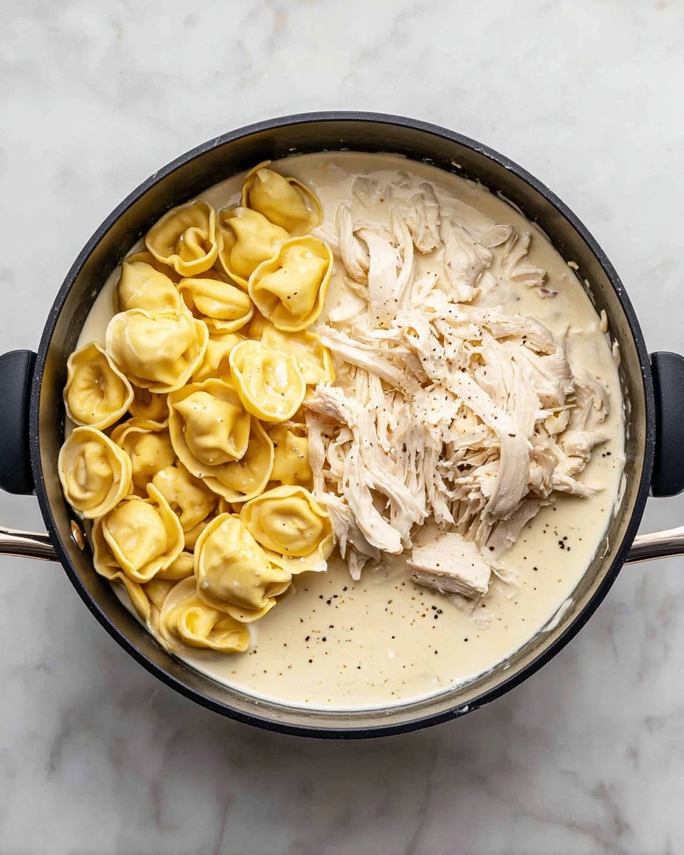 A black pan with two side handles sits on a white marbled surface. Inside the pan, there is a creamy white sauce covering the bottom fully. On the left side, there are yellowish, soft tortellini pasta piled together. On the right side, there is shredded white chicken placed on top of the sauce next to the tortellini. The creamy sauce has small black pepper specks visible. Photo taken with an iphone --ar 4:5 --v 7