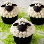 Sheep Cupcakes Recipe