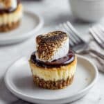 Mini S'mores Cheesecakes Recipe