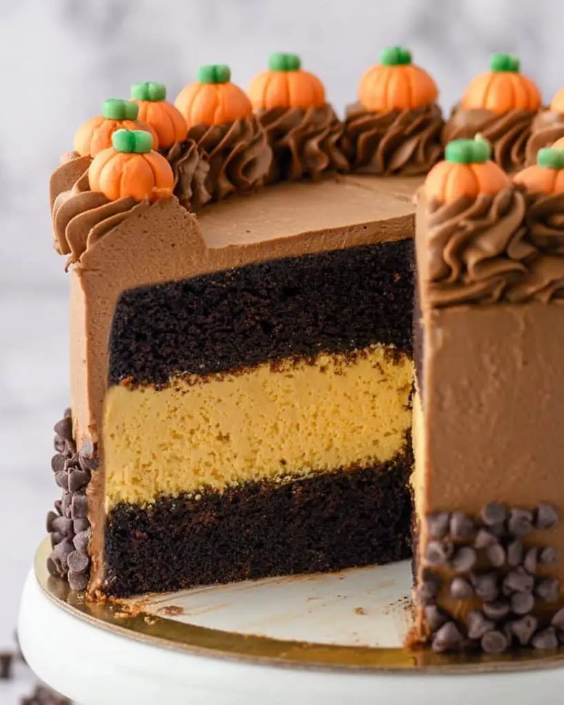 Chocolate Pumpkin Cheesecake Cake Recipe