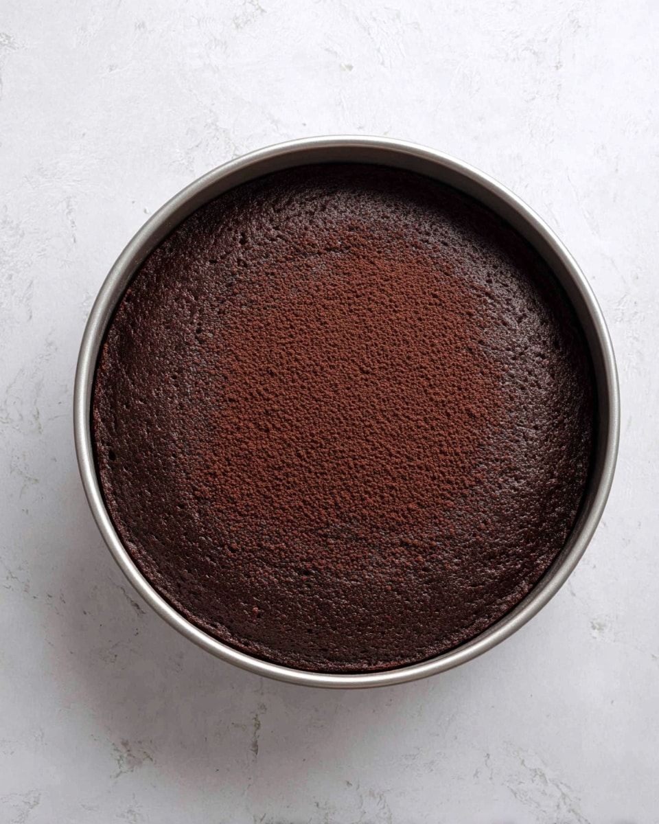 A single round dark brown chocolate cake layer fills a silver baking pan with slightly raised edges. The surface of the cake is textured with a soft, moist crumb and smooth areas, showing a gentle dome shape in the center. The pan sits on a white marbled surface that adds subtle texture around it. photo taken with an iphone --ar 4:5 --v 7