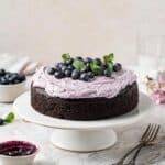 Blueberry Chocolate Cake Recipe