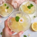 Lemon Jello Recipe