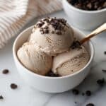 Ninja Creami Coffee Ice Cream Recipe
