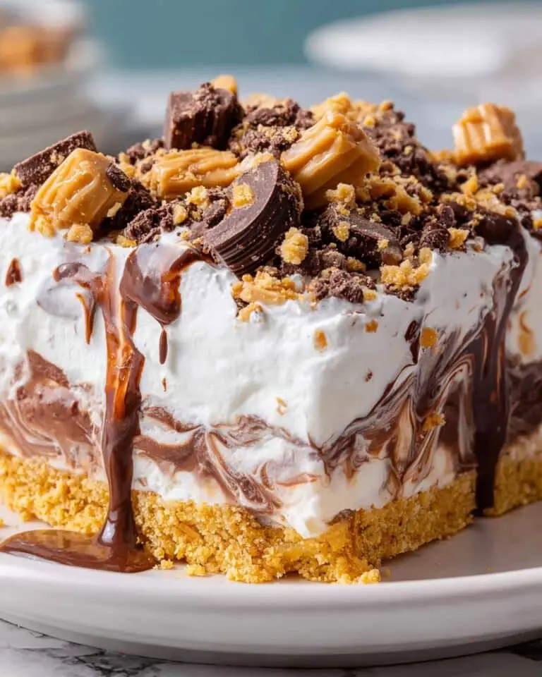 Chocolate Delight Layered Dessert Recipe