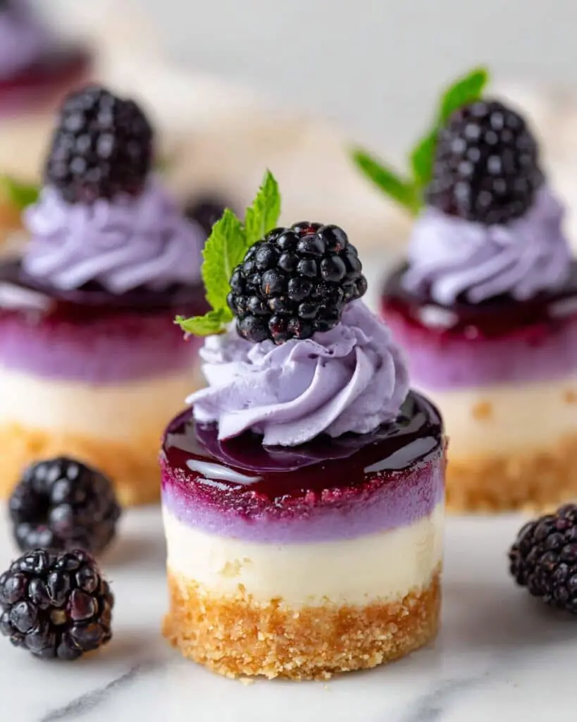 Blackberry Swirl Mini Cheesecakes with Whipped Cream Recipe