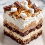 S'mores Ice Cream Sandwich Cake Recipe
