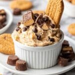 Peanut Butter Fluff Dip Recipe