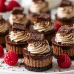 Mini Chocolate Cheesecakes with Chocolate Ganache and Whipped Cream Topping Recipe