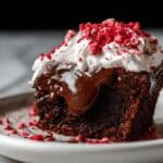 Mini Flourless Chocolate Cake Recipe
