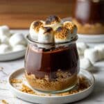 Dairy-Free Chocolate Pudding with Graham Crackers and Toasted Marshmallows Recipe