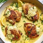 Creamy Tarragon Chicken Recipe