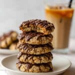 Sourdough Oatmeal Chocolate Chip Cookies Recipe