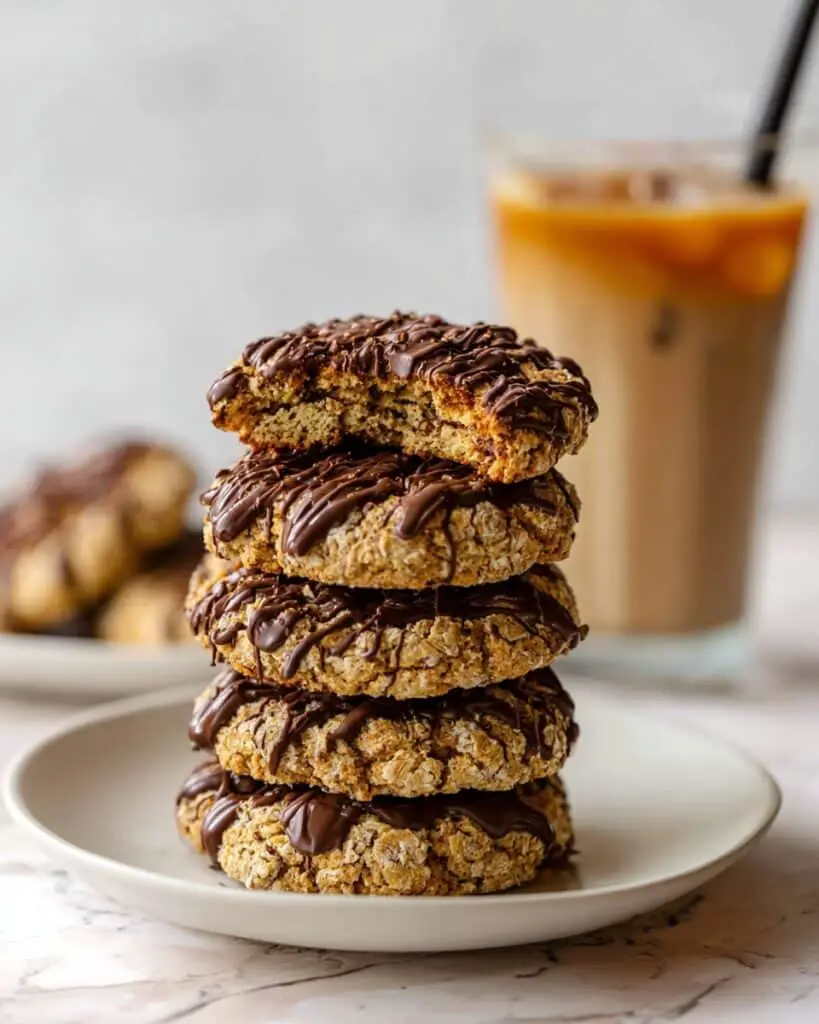 Sourdough Oatmeal Chocolate Chip Cookies Recipe