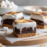 Fudgy S'mores Brownie Recipe