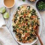Thai Chicken Salad with Spicy Peanut Dressing Recipe