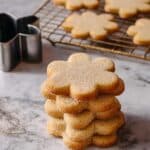 Biscochitos Recipe