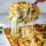 Chicken Broccoli Alfredo Bake Recipe