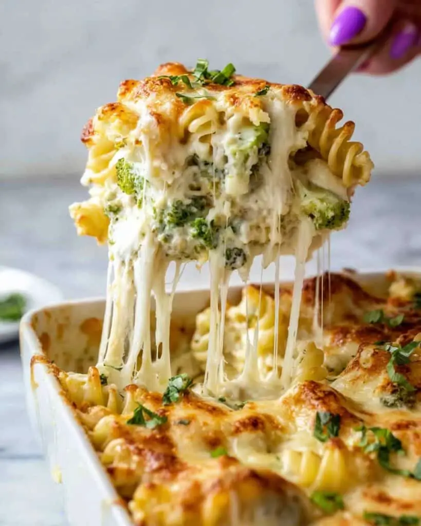 Chicken Broccoli Alfredo Bake Recipe