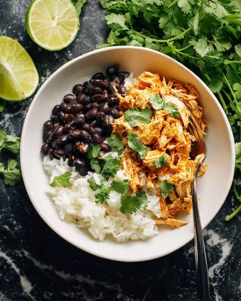 Instant Pot Salsa Chicken Recipe