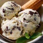 Mint Chocolate Chip Ice Cream Recipe