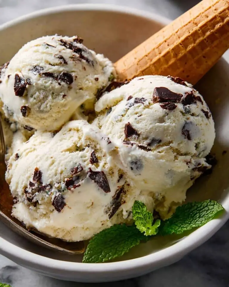 Mint Chocolate Chip Ice Cream Recipe