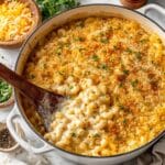 3 Cheese Vegan Mac and Cheese Recipe