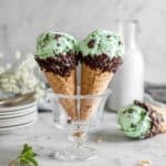No Cook Mint Chocolate Chip Ice Cream Recipe