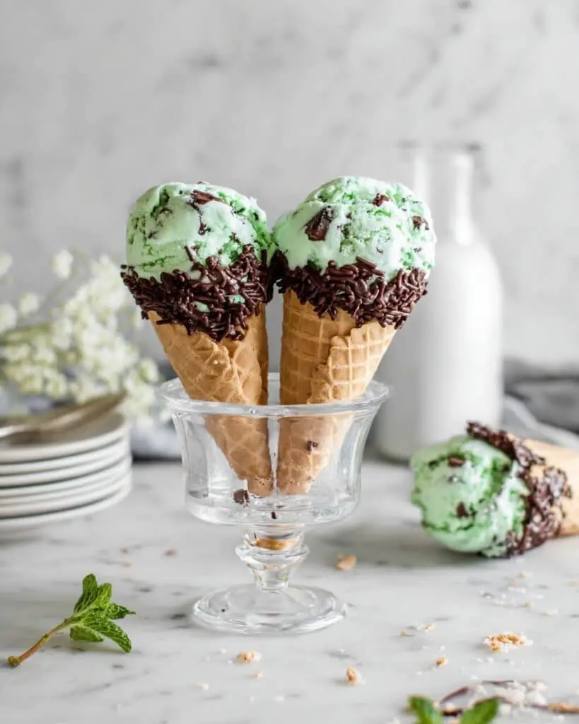 No Cook Mint Chocolate Chip Ice Cream Recipe
