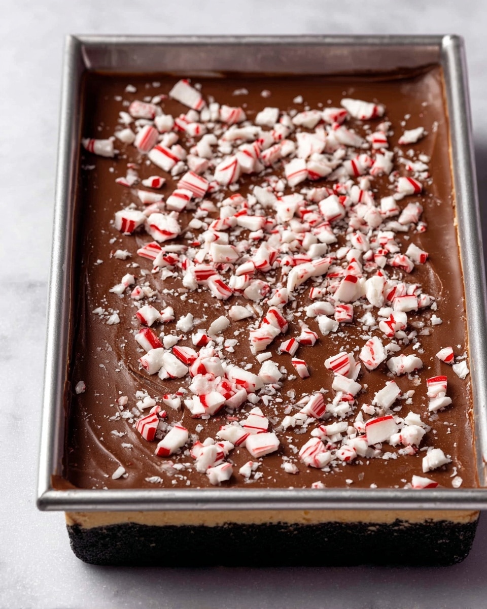 A rectangular dessert in a metal baking tray shows three distinct layers: the bottom layer is a thick, golden-brown crust with a slightly crumbly texture; on top sits a smooth, glossy layer of dark brown chocolate spread evenly across the crust; the final top layer is scattered with crunchy crushed peppermint candies in white with red stripes, adding contrast and texture. The tray rests on a white marbled surface. photo taken with an iphone --ar 4:5 --v 7